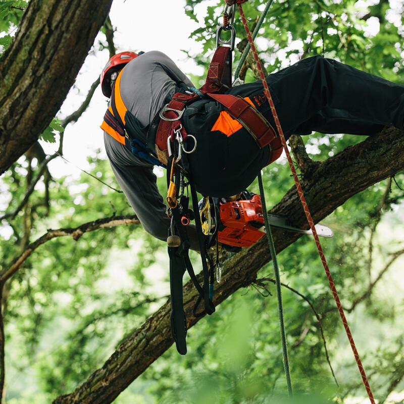 Motosierra CS 362 TES /30