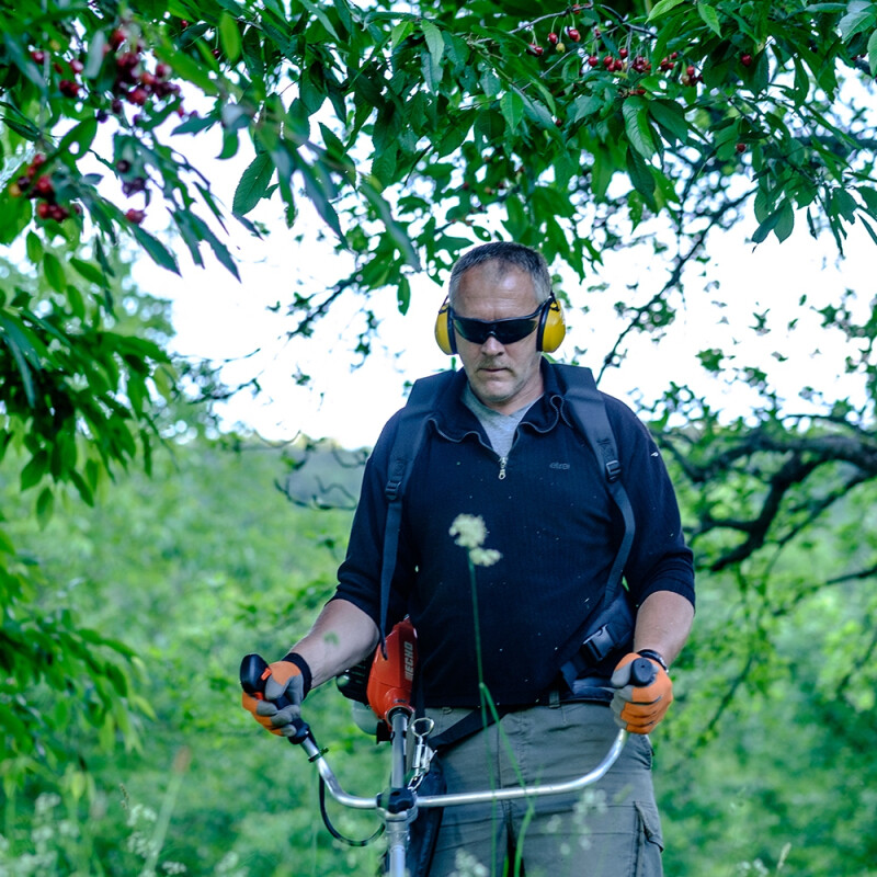 Desbrozadora SRM 2621 T ESU Desbrozadora SRM 2621 T ESU