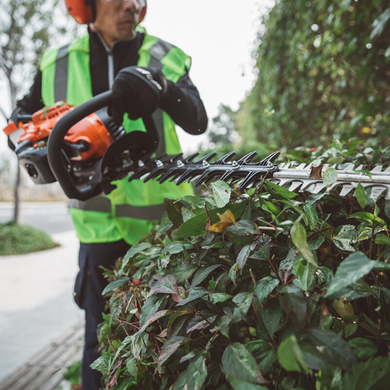 Cortasetos HC 2810 ESR