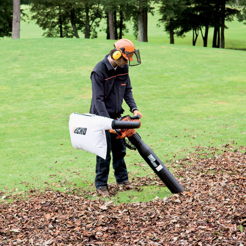 Aspirador-Soplador ES 250 ES