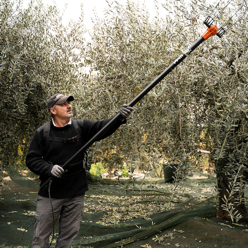 Vareador MEDUSA PPM 10 T