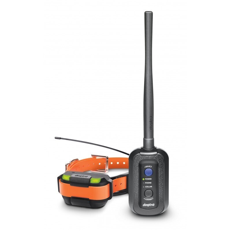 DOGTRA PATHFINDER MINI