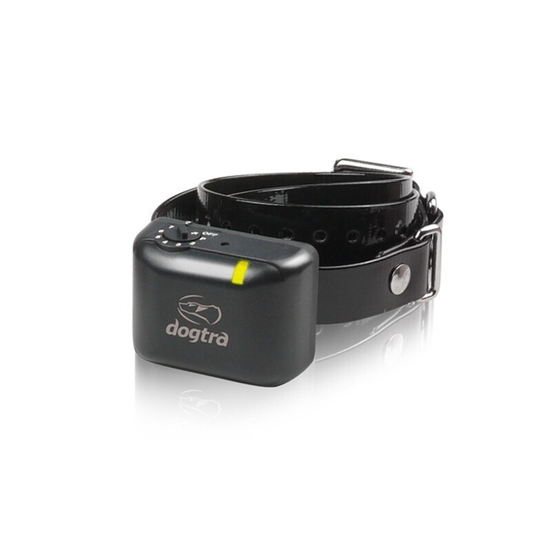 DOGTRA YS300 ANTILADRIDOS