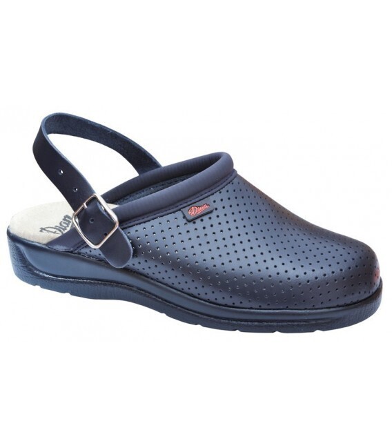 Zueco DIAN PISA CORREA