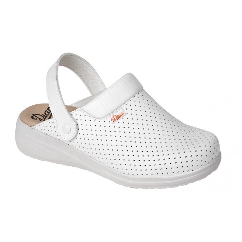 Zueco de trabajo DIAN MAR PICADO