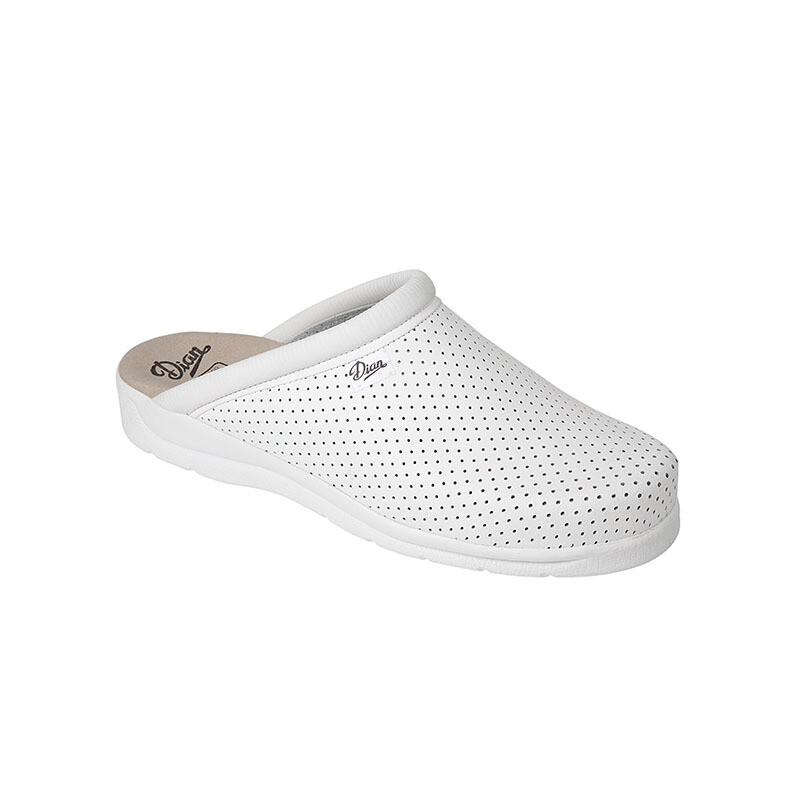 Zueco sanitario DIAN PISA