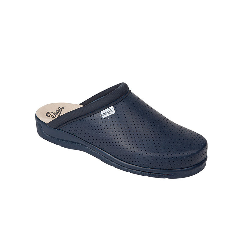 Zueco sanitario DIAN PISA