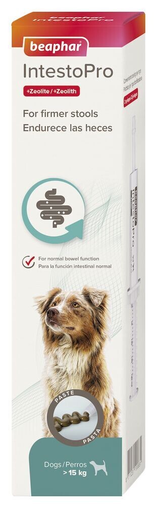 Beaphar IntestoPro Regulador Intestinal en Pasta Perros Grandes - 20ml
