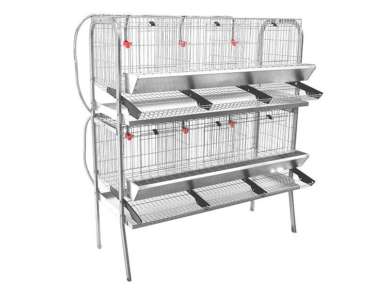 JAULA GALLINAS EXPOSICIÓN EN 2 PISOS A-3