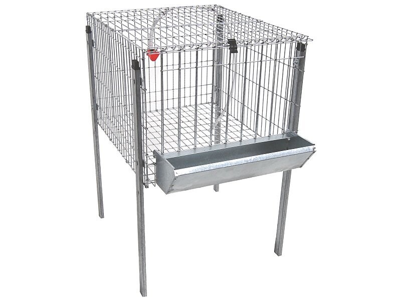 JAULA DE POLLOS POLY - 1
