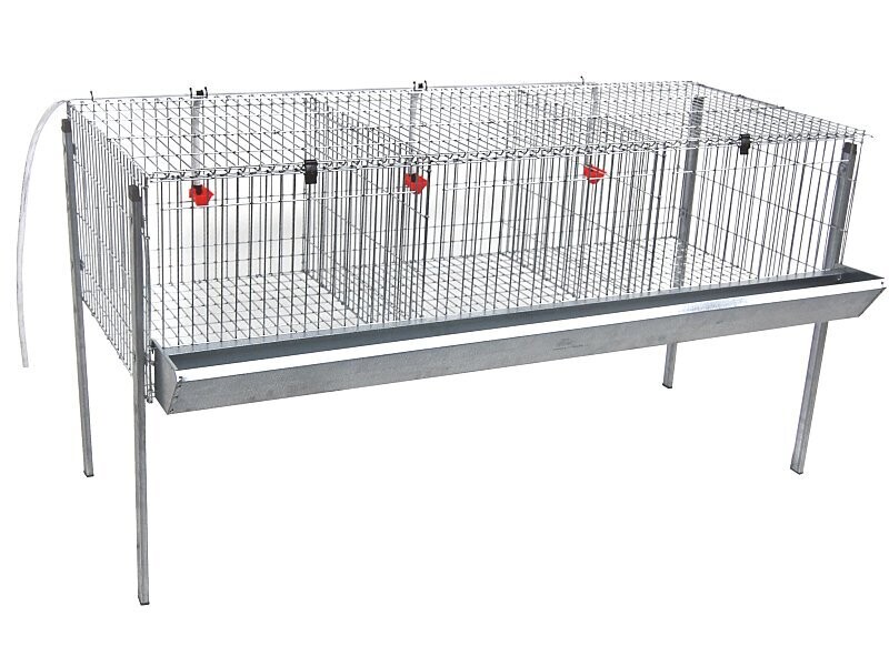 JAULA DE POLLOS MOD. POLY-3