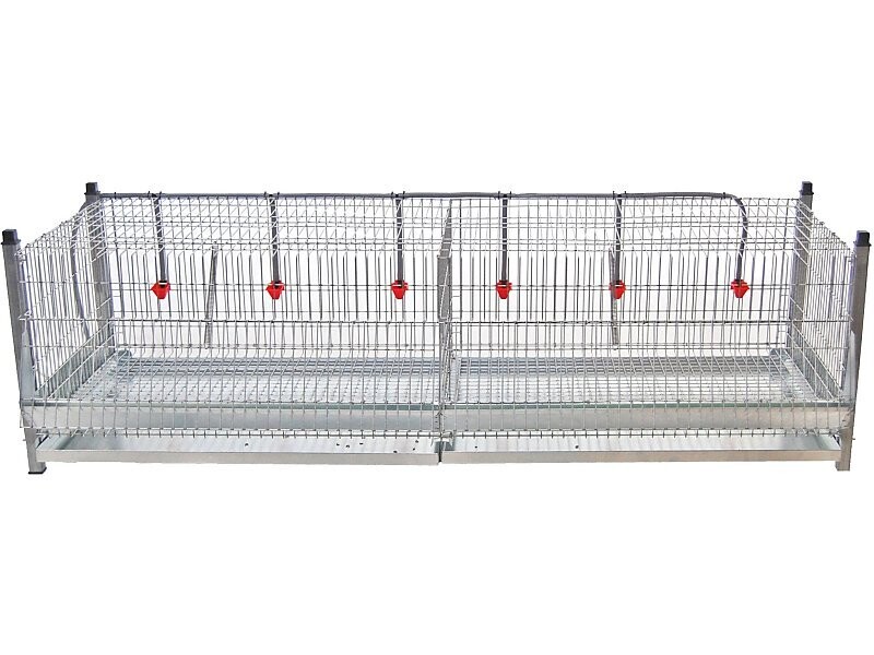 JAULA EXPOSICIÓN POLLOS 1,80