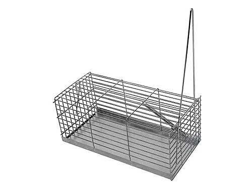 TRAMPA RATONERA 30 CM.