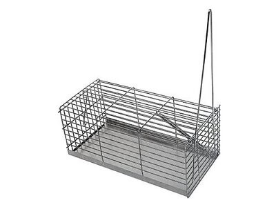 TRAMPA RATONERA 30 CM.