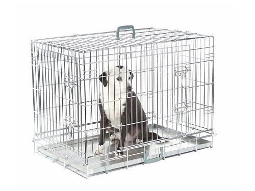 BOX CANE 75