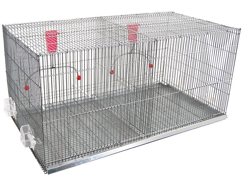 JAULÓN PARA EXPOSICIÓN DE PÁJAROS