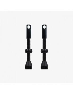 10 válvulas mousse 40 mm tubeless