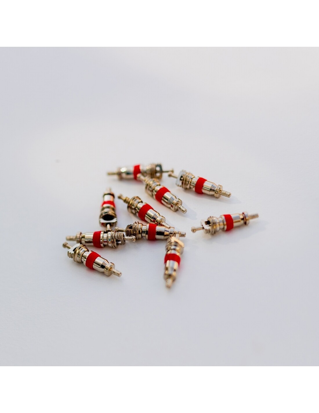 2 Obuses Válvula Schrader