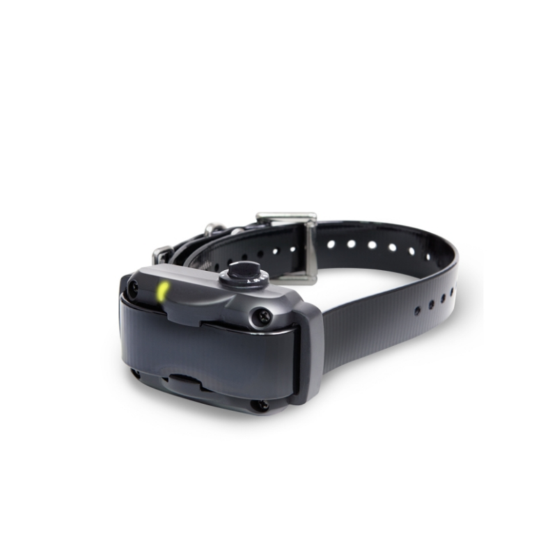 DOGTRA YS600 ANTILADRIDOS