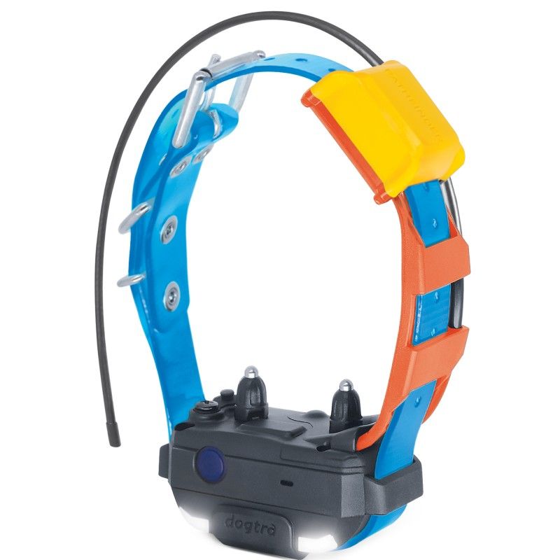 COLLAR ADICIONAL PATHFINDER 2 MINI AZUL