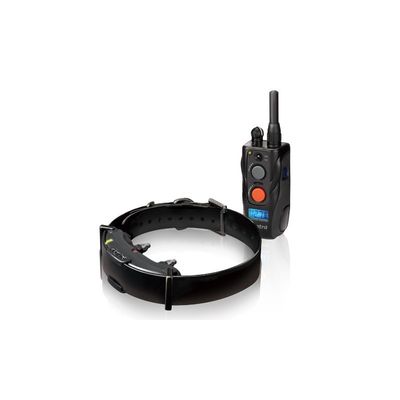 DOGTRA ARC 800 - PARA UN PERRO