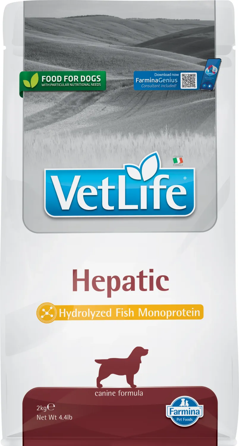 FARMINA VET LIFE DOG HEPATIC 2KG