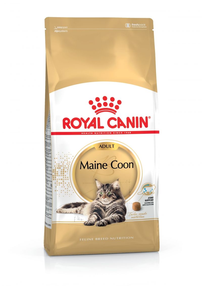ROYAL CANIN FELINE MAINE COON 4KG