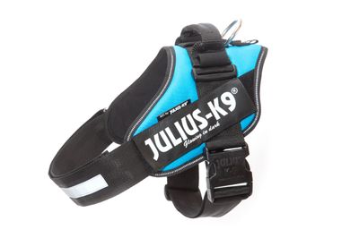 16IDC-AM-3 IDC�-POWERHARNESS 3 AGUA MARINA