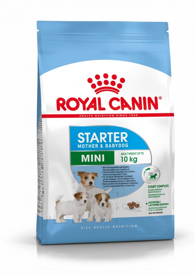 ROYAL CANIN MINI STARTER 1 KG