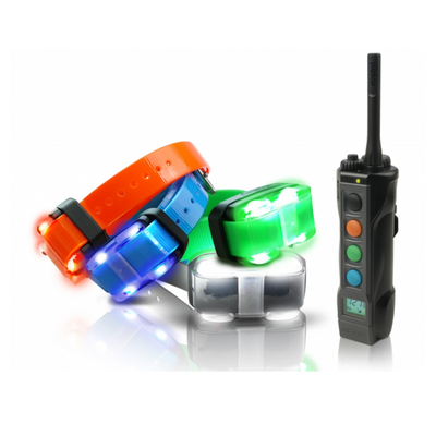 DOGTRA 4504 EDGE COLLAR ADIESTRAMIENTO DE 1600 METROS - CUATRO PERROS DOGTRA 4504 EDGE COLLAR ADIESTRAMIENTO DE 1600 METROS - CUATRO PERROS