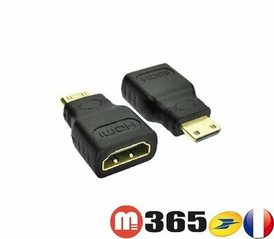 Adaptateur HDMI femelle (type A) vers HDMI mini male (type C) adapter