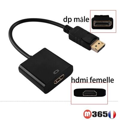 Adaptateur dp mâle Displayport vers HDMI femelle (type A) adapter