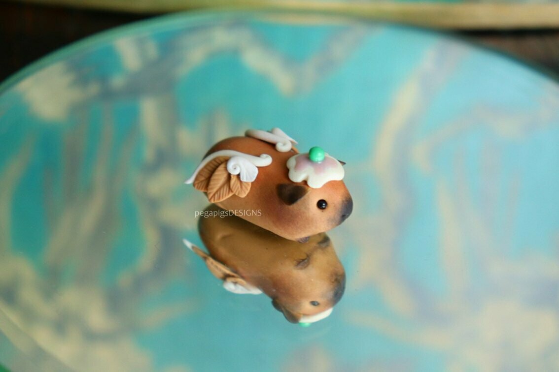 "Sugar hat" baby pegapiggy