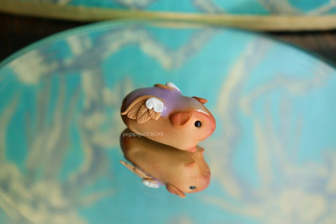 "Sugar glaze" baby pegapiggy