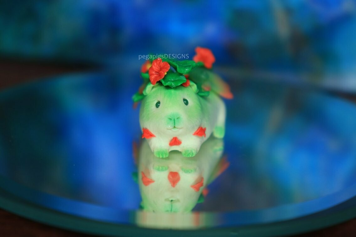 Nasturtium Pegapiggy