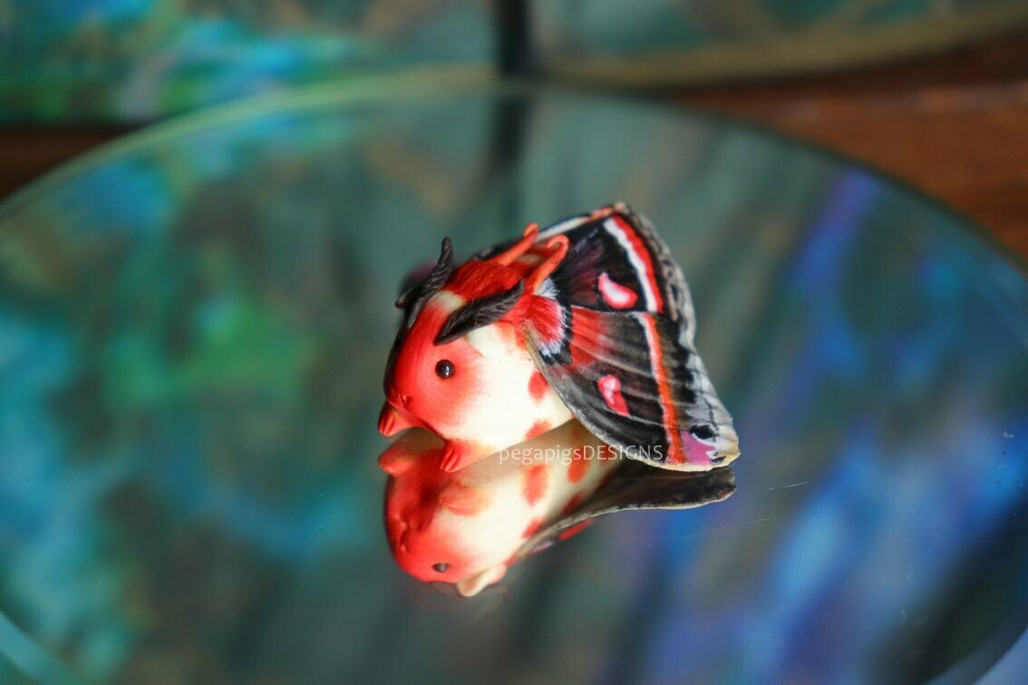 Cecropia Moth Pegapiggy