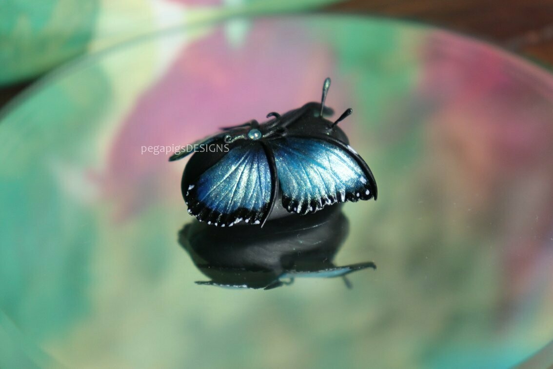 Blue Morpho Butterfly Pegapiggy