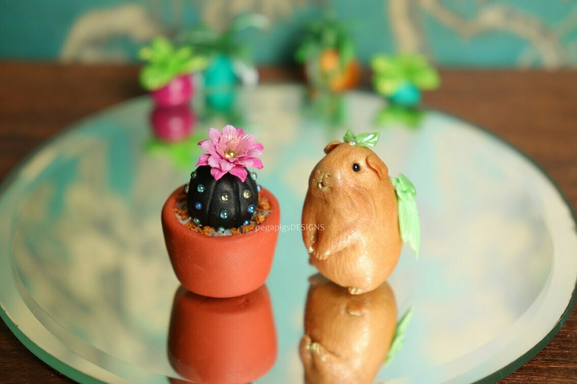 Botanist Pegapiggy - Cactus black/pink