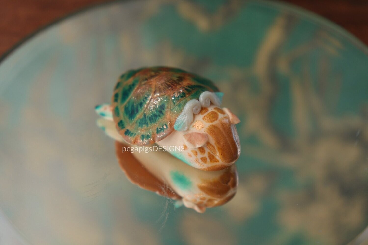 Guinea Turtle - Sleepy Ocean