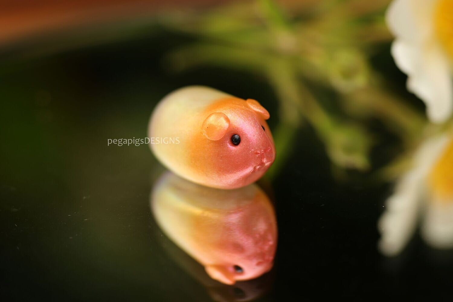NEW BUYER ONLY | Rainbow WeeWheeky