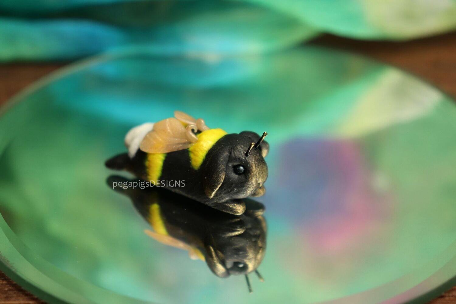 Bumblebun Sploot