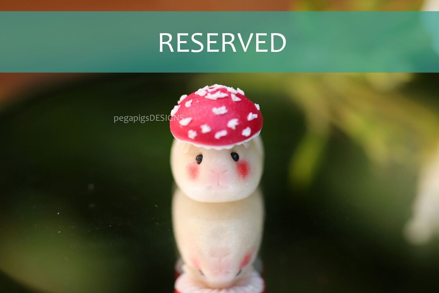 !RESERVED! WeeWheeky "Amanita" pre-order