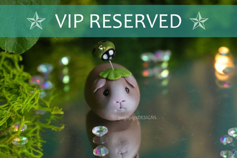 !VIP RESERVED! WeeWheeky "Wiggly bug" pre-order