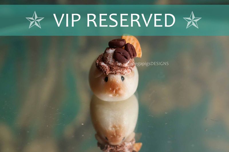 !VIP Reserved! WeeWheeky "Ice Cream 2.0" pre-order | Choose