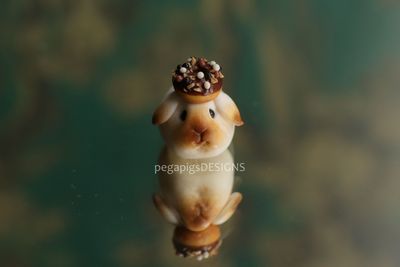 Toasted Marshmallow WeeBun - Choco Donut