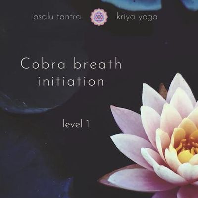 4.-7.9..2025 Cobra Breath Level 1