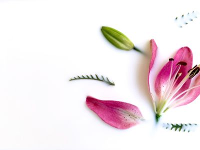 14.-17.5.2026 Secret of tantra