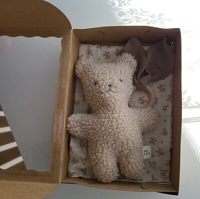 Stuffed animal gift set_bear