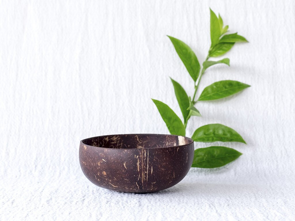 Coconut Bowl &amp; Wooden Spoon Set Of (4)