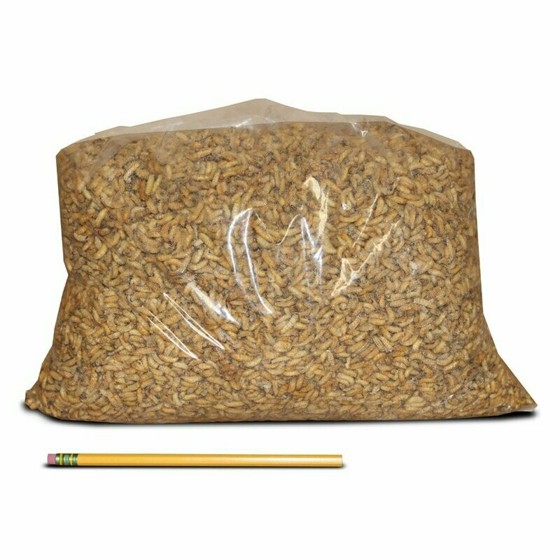 Roasted Waxworms (5lb. bag)